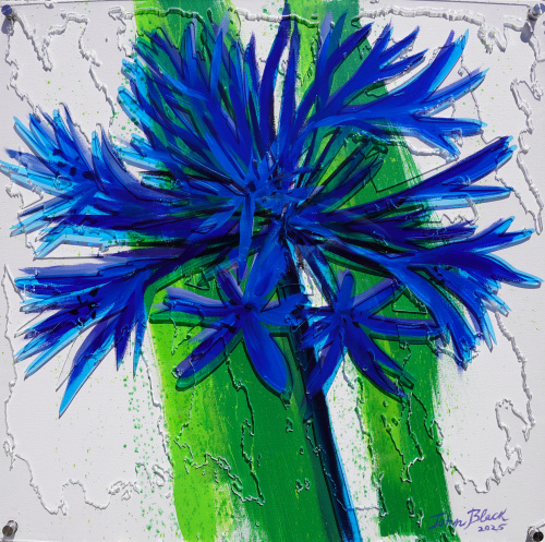 cornflowers blue